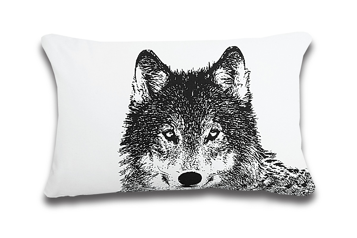 Wildlife Wolf Wildlife Wolf