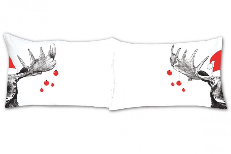 Bruce the Moose  (PTK19)
