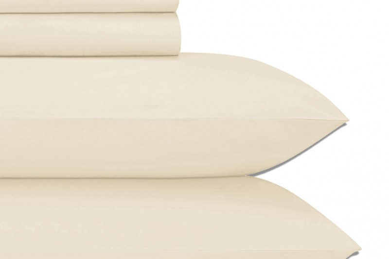 Rayne Bamboo