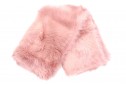 Sorbet